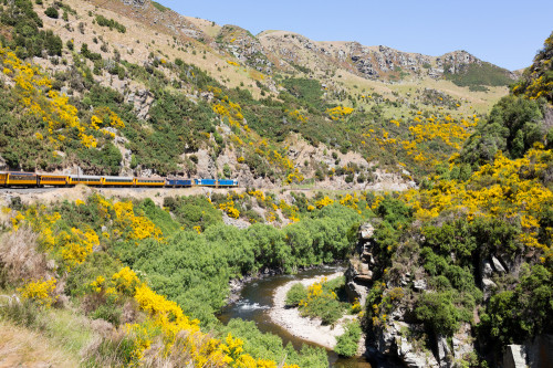 Neuseeland Reise - Taieri Gorge Railway