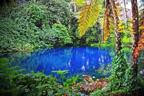 Südsee Reise - Blue Hole auf Espiritu Santo Südsee Reise - Blue Hole auf Espiritu Santo