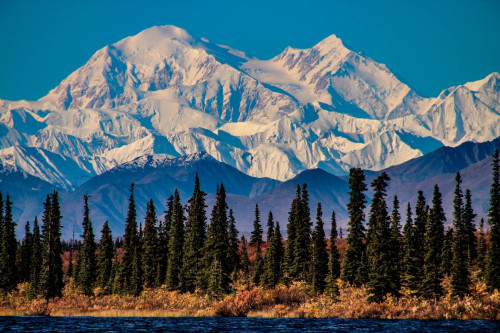 Alaska reise: Denali NP Alaska reise: Denali NP