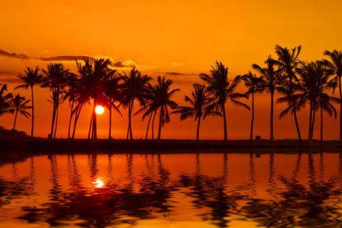 Hawaii Reise Sonnenuntergang