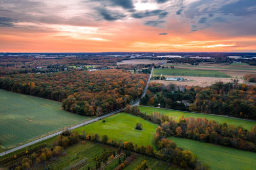 USA Reise: Princeton Plainsboro