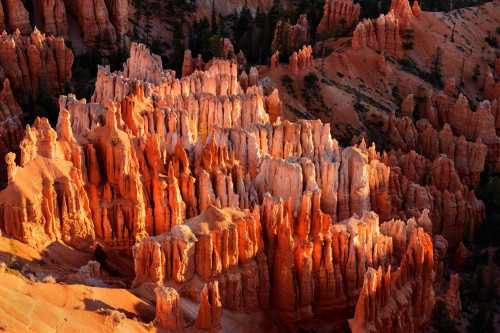 USA Reise: Bryce Canyon