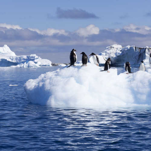 Landschaft: Arktis & Antarktis Reisen