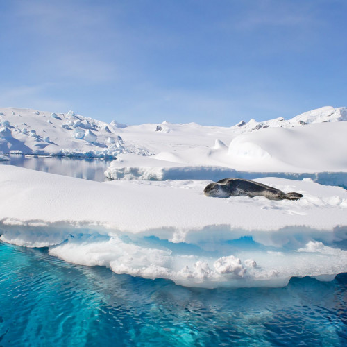 Landschaft: Antarktis entdecken