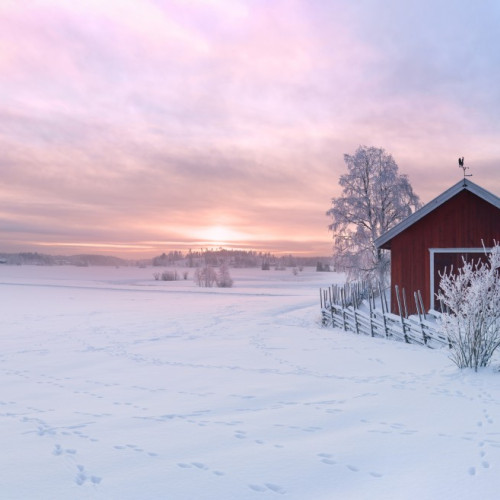 Landschaft: 