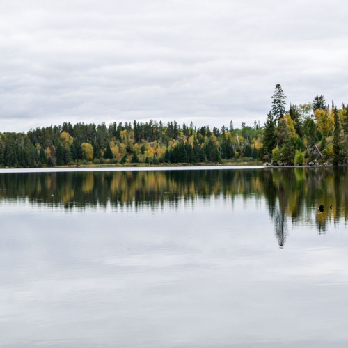 Landschaft: Falcon Lake