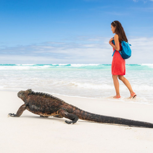 Galapagos Inseln 5 e Insel Hopping Meso Reisen