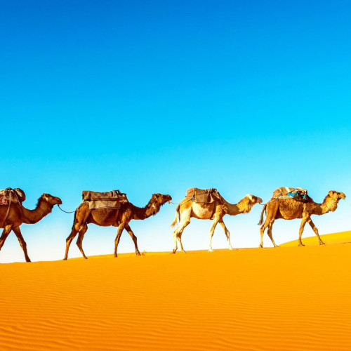 Landschaft: Marokko Reisen