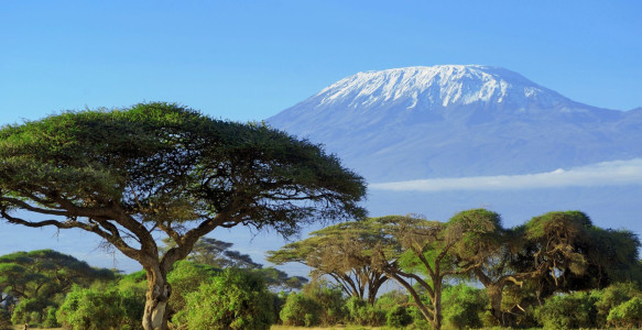 Reisebild - Tansania Reise - Kilimanjaro