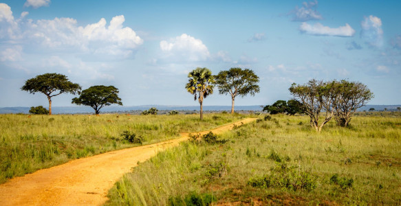 Uganda Reise National Park Reisebild - Uganda Reise National Park