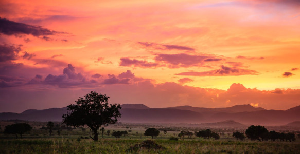 Sonnenuntergang Afrika Reisebild - Sonnenuntergang Afrika