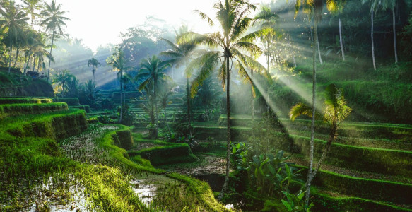 Indonesien Reise: Privatreise - Magisches Bali - Tempel, Vulkane & Traumstrände Reisebild - Indonesien Reise: Privatreise - Magisches Bali - Tempel, Vulkane & Traumstrände