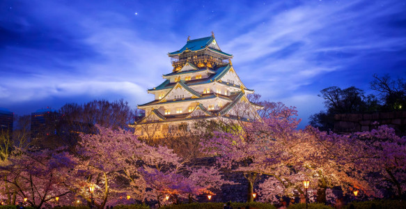Himeji Tempel Reisebild - Himeji Tempel