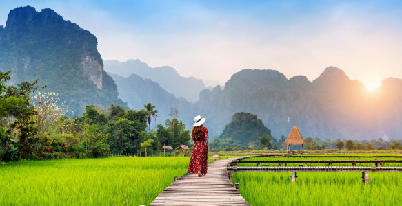 Reisebild - Reise Laos: Reisfelder