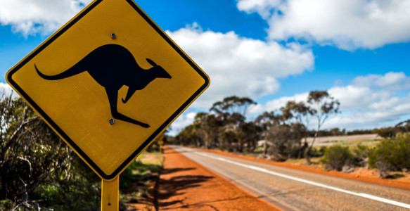 Reisebild - Australien Reise - Outback