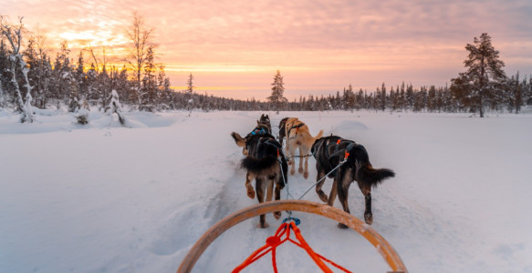 Reisebild - Lappland