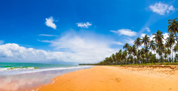 Brasilien Reise: Strand Reisebild - Brasilien Reise: Strand