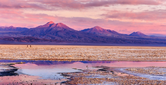 Reisebild - Chile Reise: Salar de Atacama