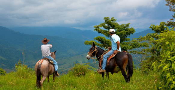 Reisebild - Costa Rica Entdecker-Rundreise
