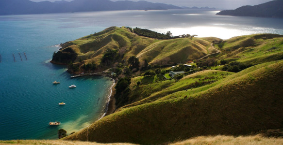 Neuseeland Reise - Marlborough Sound Reisebild - Neuseeland Reise - Marlborough Sound