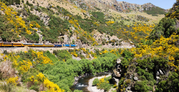 Neuseeland Reise - Taieri Gorge Railway Reisebild - Neuseeland Reise - Taieri Gorge Railway