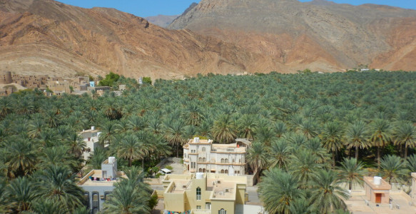 Reisebild - Oman Reise - Jabal Akhdar