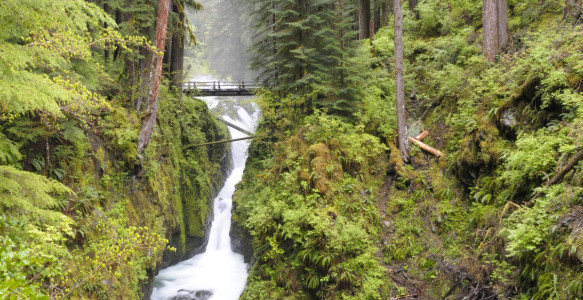 Reisebild - Olympic Nationalpark