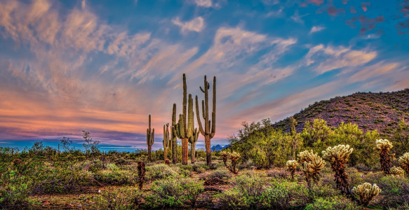 USA Reise Westen Scottsdale, Arizona Reisebild - USA Reise Westen Scottsdale, Arizona
