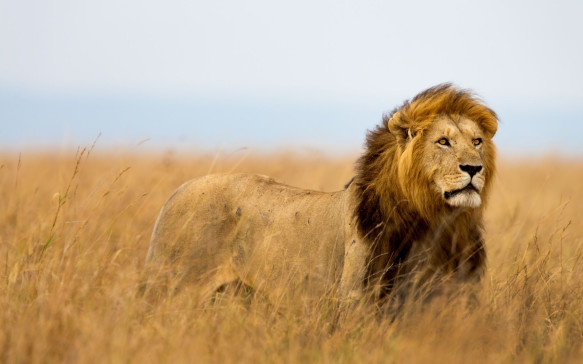Afrika erleben Afrika erleben