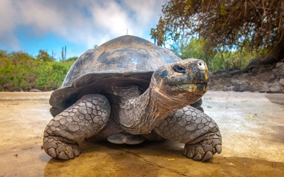 Ecuador Reisen