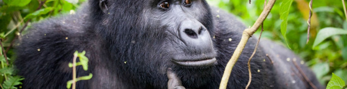 Ruanda Foto aus Ruanda: