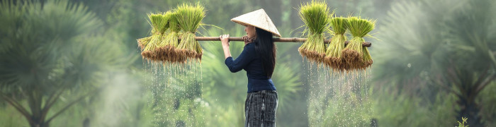 Foto aus Vietnam: Vietnam