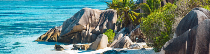Seychellen Strand Foto aus Seychellen: Seychellen Strand