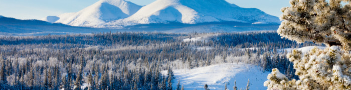 Foto aus North West Territories : 