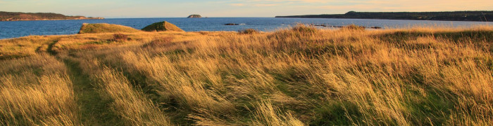 Foto aus Newfoundland / Labrador: Küste