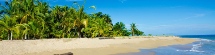 Foto aus Costa Rica: Costa Rica Reisen
