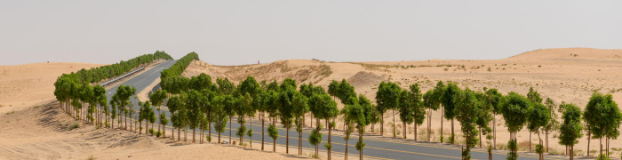 Foto aus Vereinigte Arabische Emirate: Vereinigte Arabische Emirate Reisen