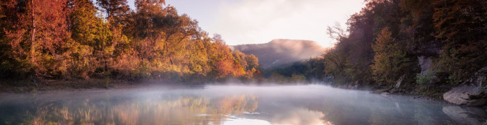 Foto aus Arkansas: 