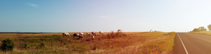 Landschaft Foto aus Texas: Landschaft