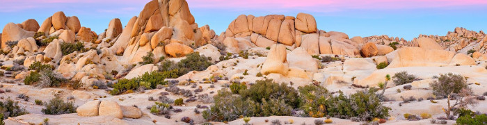 Foto aus California: Joshua Tree NP