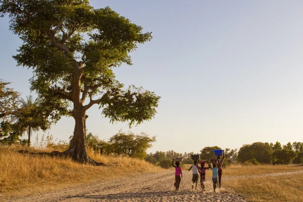 Impressionsfoto für Privatreise - Erlebnisreise durch Senegal & Gambia
