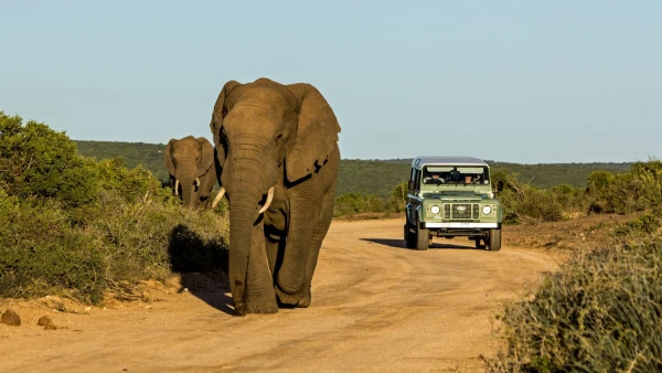 Impressionsfoto für Kleingruppenreise - Klassische Rundreise & Südafrika Safari