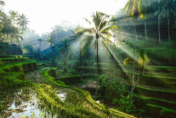 Impressionsfoto für Privatreise - Magisches Bali - Tempel, Vulkane & Traumstrände
