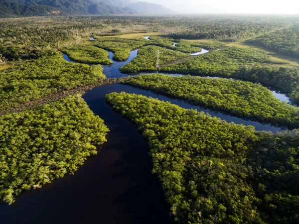 Impressionsfoto für Kleingruppenreise - Dschungelexpedition Mythos Amazonas