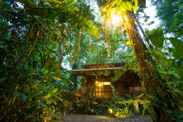 Impressionsfoto für Privatreise - Naturwunder Costa Ricas