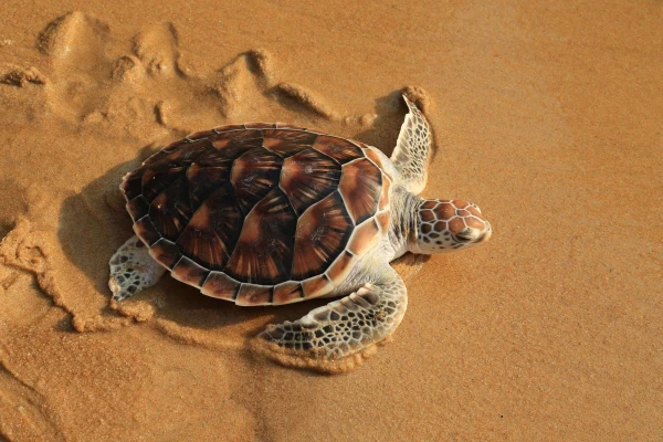 Impressionsfoto für Kleingruppenreise - Klassisches Costa Rica
