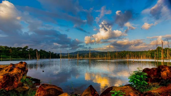 Impressionsfoto für Kleingruppenreise - Guyana & Suriname Highlights