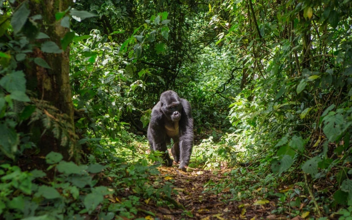 Foto aus Uganda: Uganda Reise 