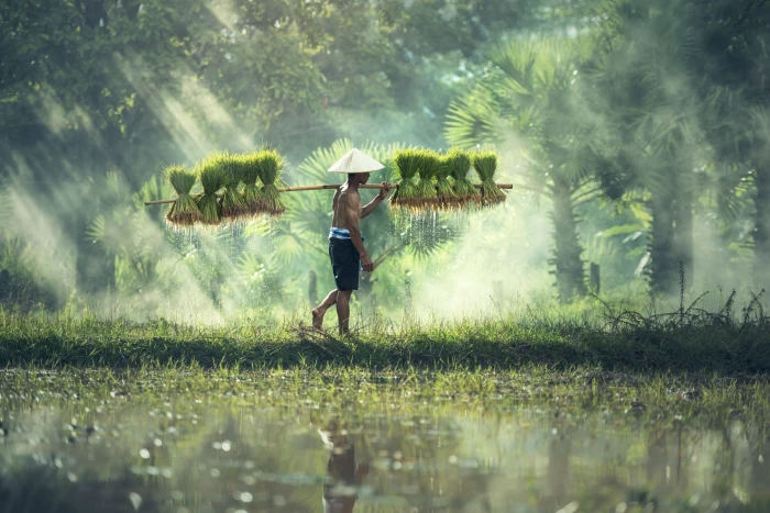 Foto aus Asien: Asien Reise Reisbauer