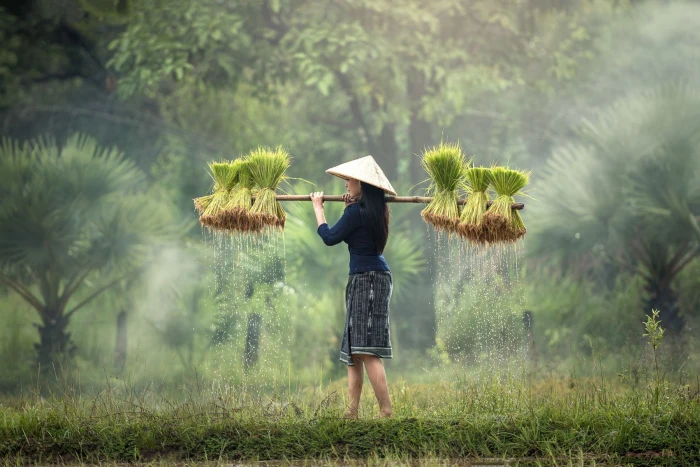 Foto aus Vietnam: Vietnam